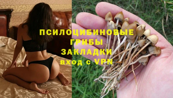 тгк Лихославль