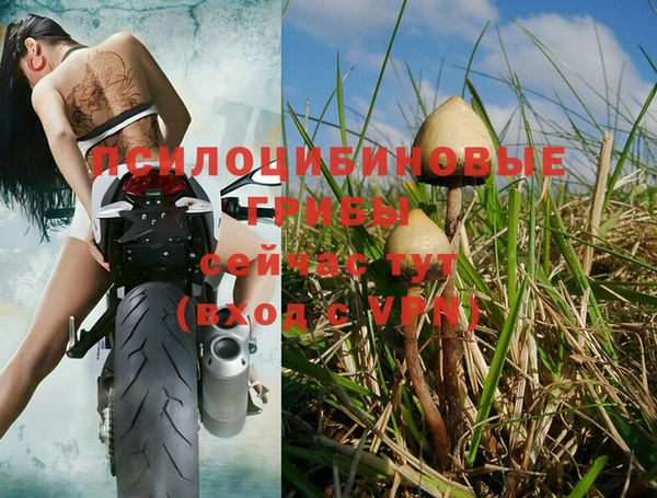 тгк Лихославль