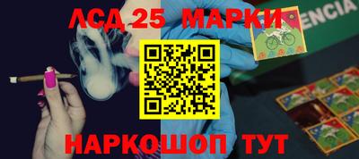 прущие грибы Ставрополь