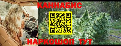 прущие крисы Тверь