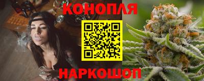 прущие грибы Тара